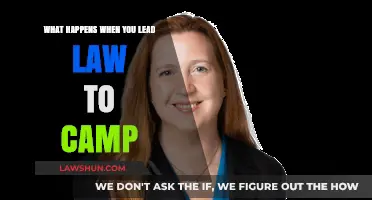 Leading Law to Camp: Unforeseen Consequences and Legal Implications Explored