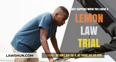 Losing a Lemon Law Trial: Consequences and Next Steps Explained
