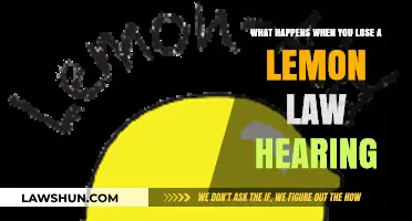 Losing a Lemon Law Hearing: What’s Next and How to Recover
