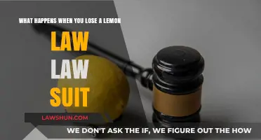 Losing a Lemon Law Case: Consequences and Next Steps Explained