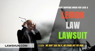 Losing a Lemon Law Case: Consequences and Next Steps Explained
