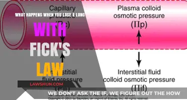 Lung Loss and Fick's Law: Understanding Respiratory Gas Exchange Changes