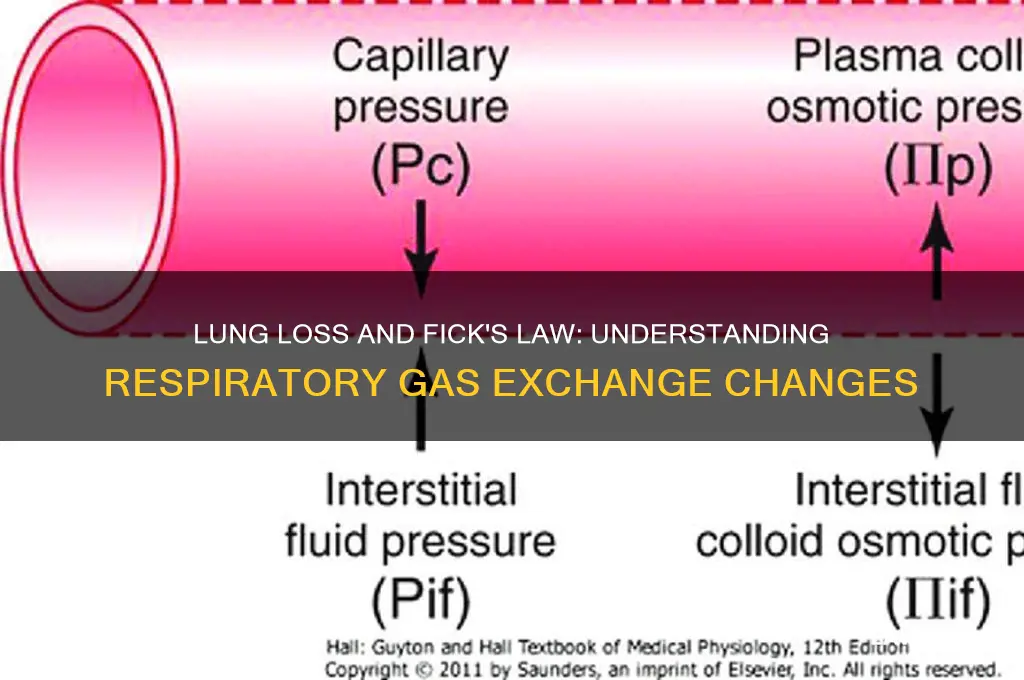 what happens when you lose a lung with fick