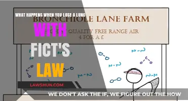 Living with One Lung: Fick's Law and Respiratory Adaptation Explained