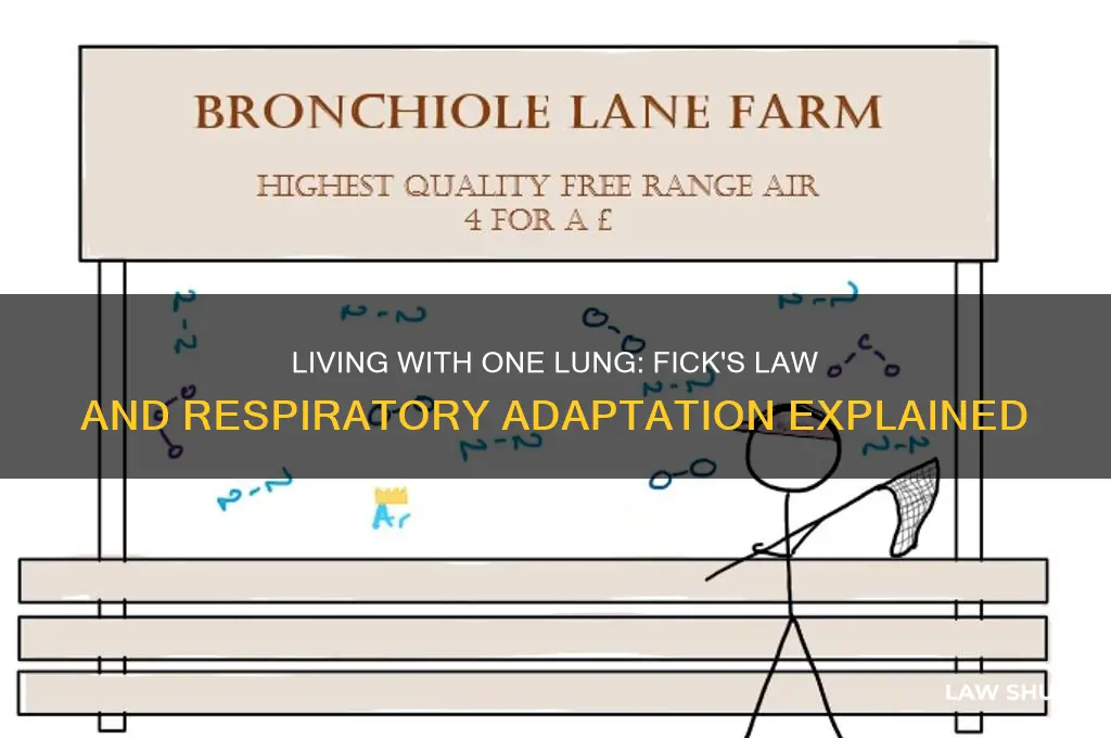 what happens when you lose a lung with fict