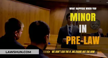Exploring Pre-Law Minor: Career Paths, Benefits, and Opportunities