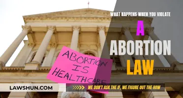 Abortion Law Violation: Understanding the Consequences and Ramifications