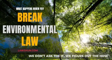 Environmental Lawbreaking: Understanding the Consequences