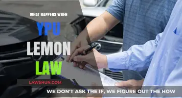 Lemon Law Explained: What Happens When You File a Claim?