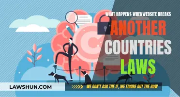 Web Laws: When Your Site Breaks Foreign Regulations