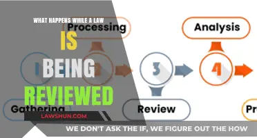 Understanding the Legal Review Process: What Happens During Law Evaluation