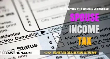 Common-Law Spouse: Tax Obligations After Death
