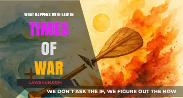 War's Legal Chaos: How Conflict Reshapes Laws and Justice