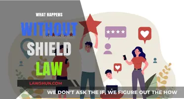 No Shield Law: Consequences for Journalism and Free Speech Explained