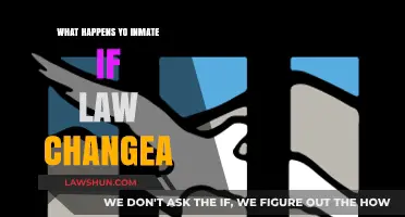 Legal Shifts: How Law Changes Impact Inmates' Lives and Futures