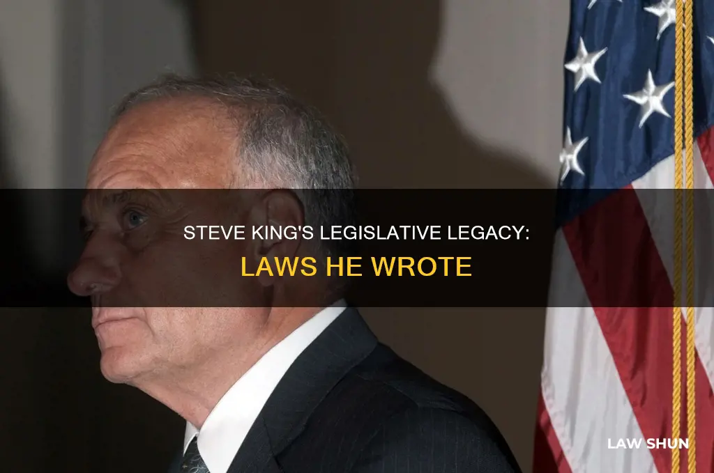 what has become law that steve king wrote