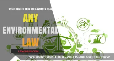 The Surprising Environmental Law Triggering a Wave of Lawsuits