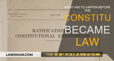 The Constitution's Journey to Becoming Law