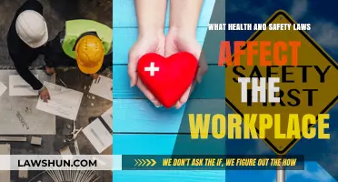 Essential Health and Safety Laws Every Workplace Must Follow
