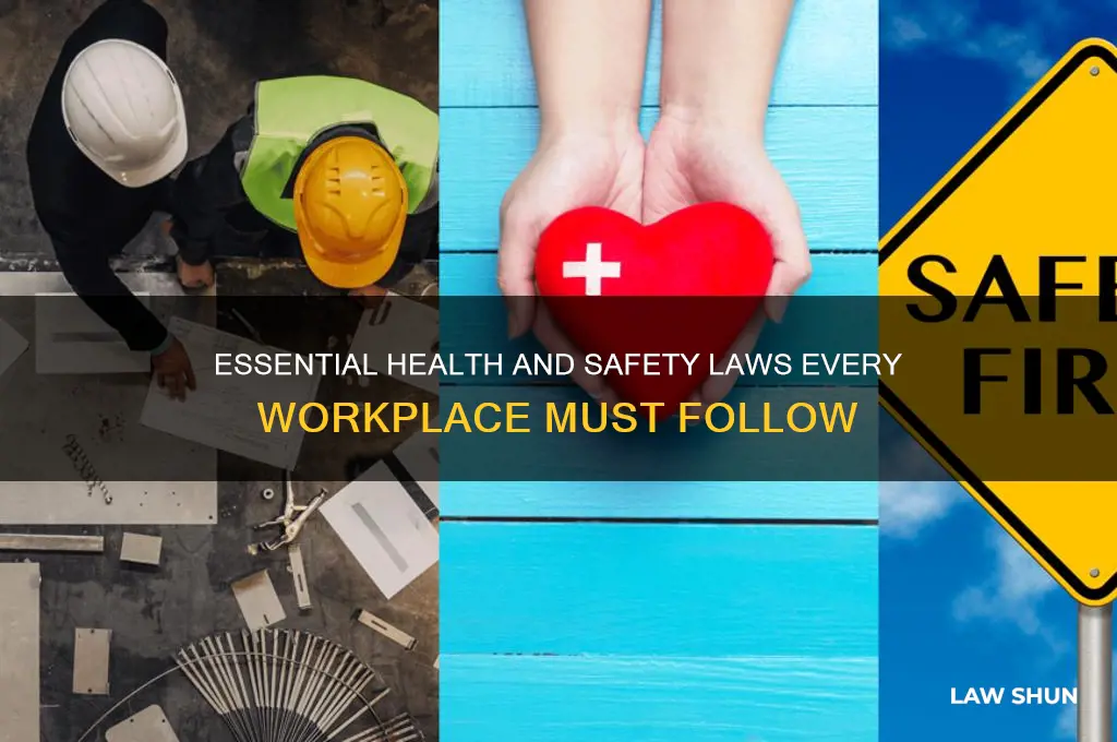 what health and safety laws affect the workplace