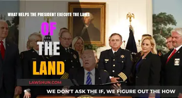 How the President Enforces Laws: Key Tools and Support Systems