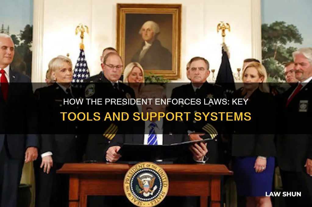 what helps the president execute the laws of the land