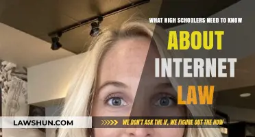 Navigating the Web: Essential Internet Law Basics for High Schoolers