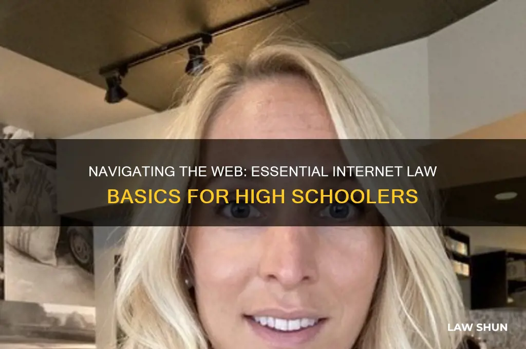 what high schoolers need to know about internet law