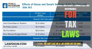 Which Congressional Committees Oversee Tax Laws?