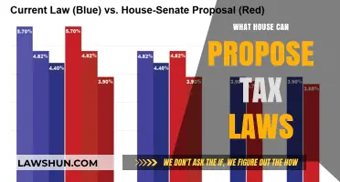 Who Can Propose Tax Laws in the House?