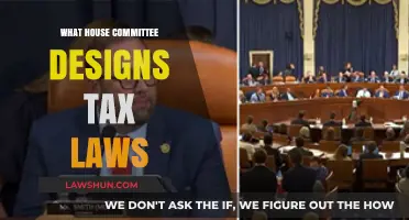 Who Shapes Tax Laws in the House?