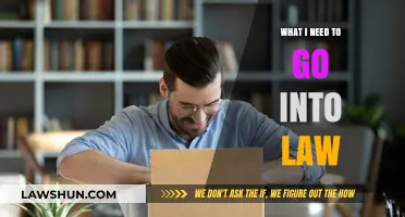 Essential Steps and Skills to Pursue a Career in Law