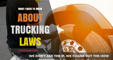 Essential Trucking Laws: What Every Driver Should Know