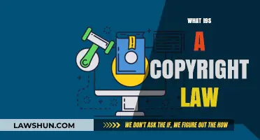 Understanding Copyright Law: Protecting Creative Works and Intellectual Property