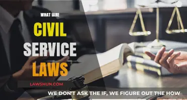 Understanding Civil Service Laws: Key Principles and Their Impact