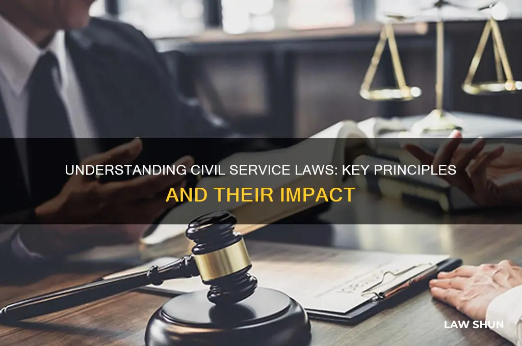 what iare civil service laws
