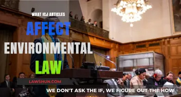 ICJ Articles Shaping Environmental Law: Key Provisions and Impacts