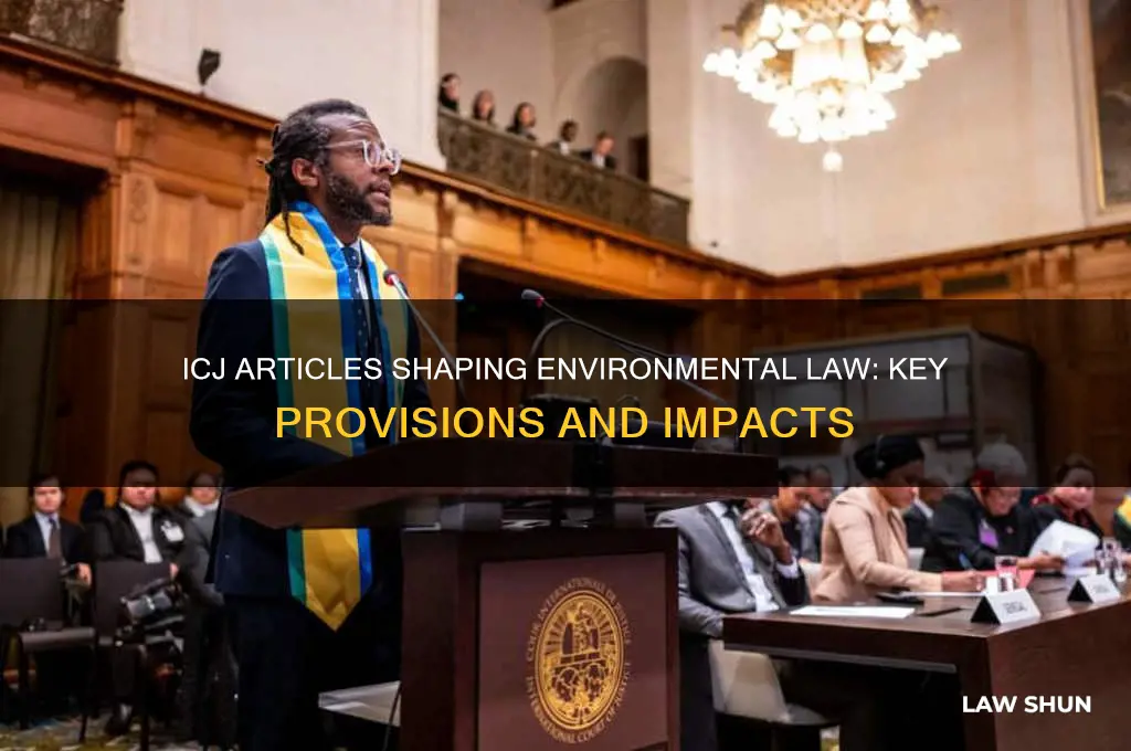 what icj articles affect environmental law