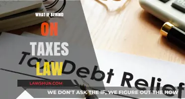 Tax Law: What to Do If You're Behind