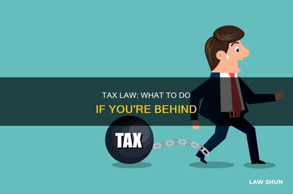 what if behind on taxes law
