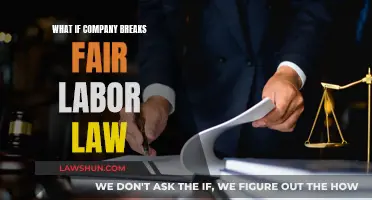 Labor Law Violations: What Happens When Companies Cross the Line?