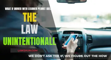 Driver Learner Permit Law: Unintentional Consequences