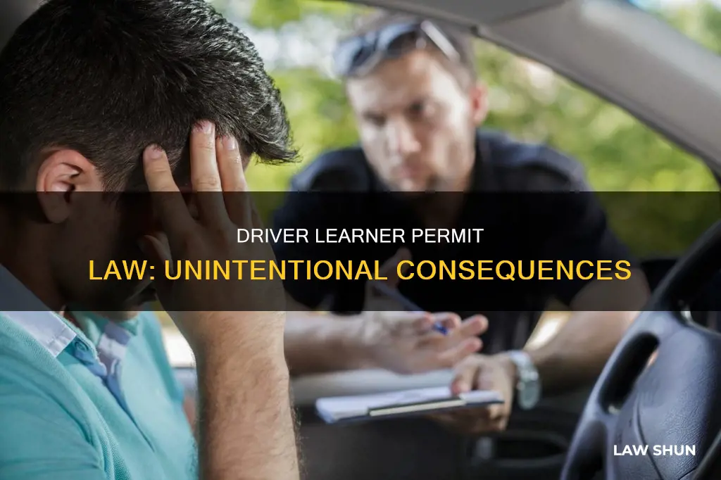 what if driver with learner permit breaks the law unintentionally