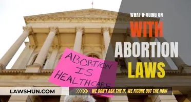 Abortion Laws: A Battle for Women's Rights and Choices