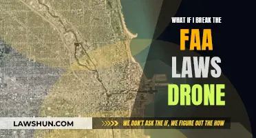 Drone Laws: Breaking FAA Rules and Consequences