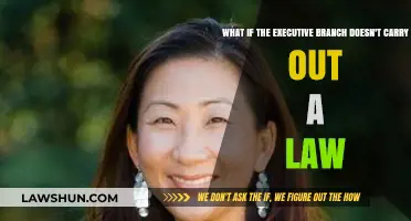 Executive Defiance: What Happens When Laws Are Left Unenforced?
