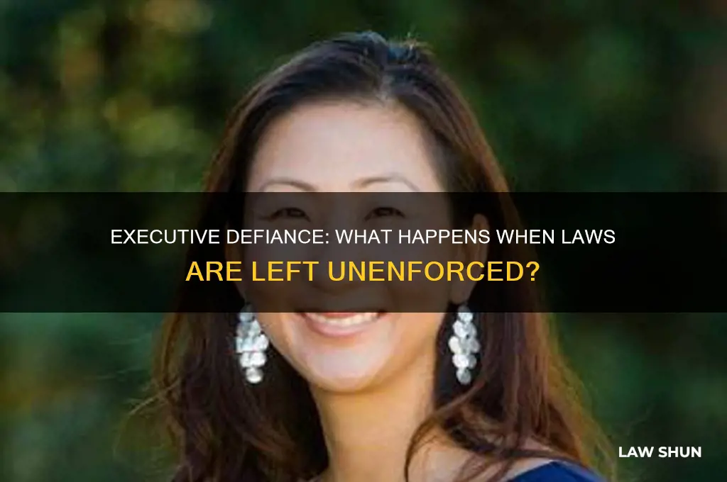 what if the executive branch doesn