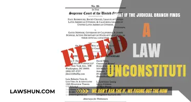 When Laws Clash with the Constitution: The Judicial Branch's Role