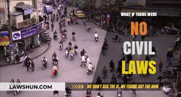 A World Without Civil Laws: Chaos or Freedom?