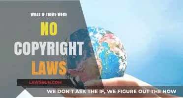 A World Without Copyright: Creativity, Chaos, or Cultural Freedom?